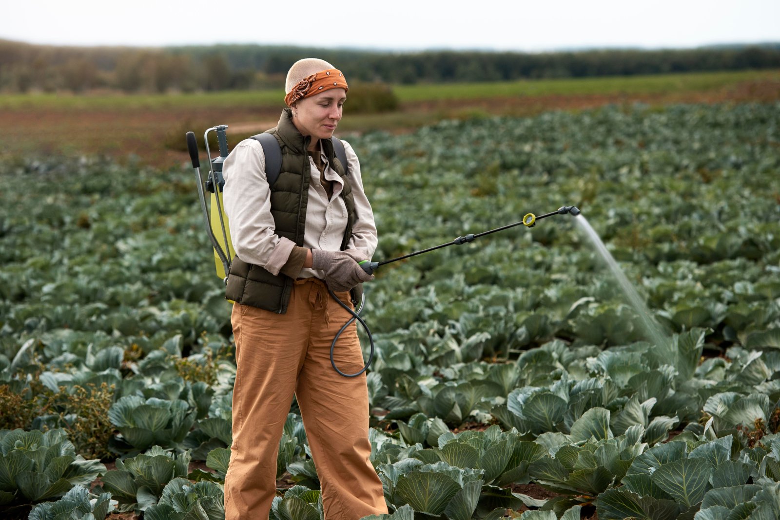 Agricure Bactericide