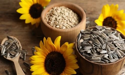 Premium Hybrid Flower Seeds