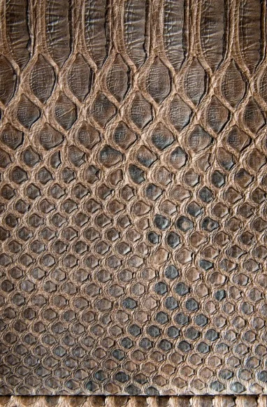 Crocodile Leather