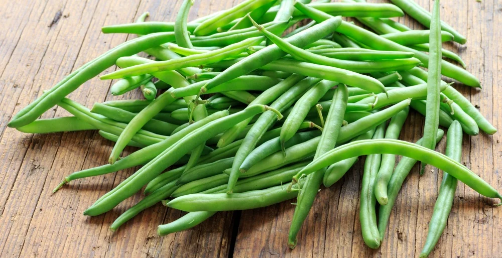 Fresh Beans