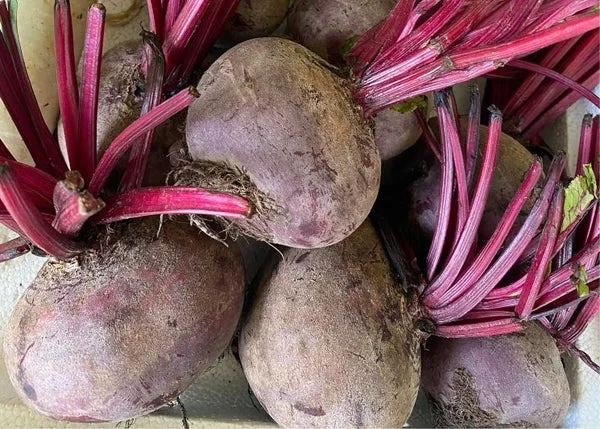 Beet Sugar