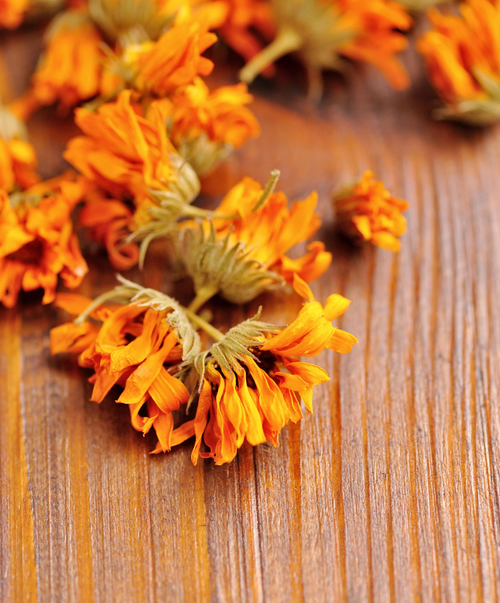 Dried Flowers