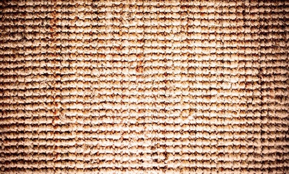 Coir Carpets