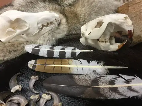 Animal By-Products (Horns, Skins, Hides, Skulls, Feathers, Hairs)