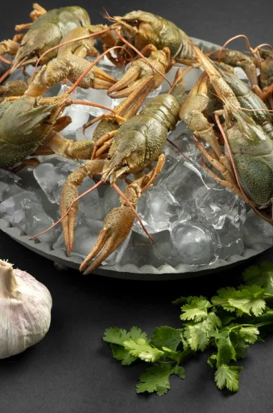 Fresh Crayfish