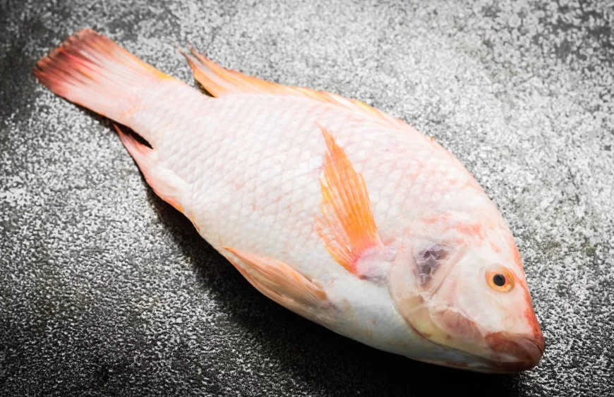 Fresh Emperor Fish