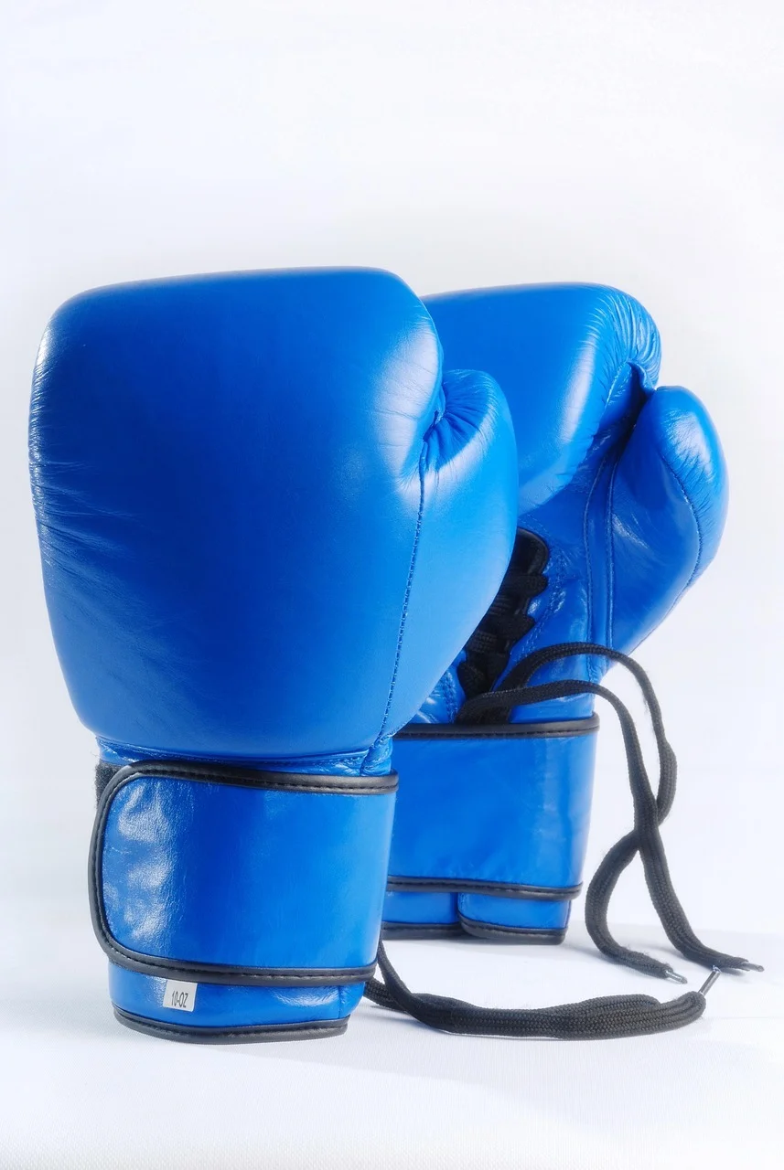Boxing Gloves
