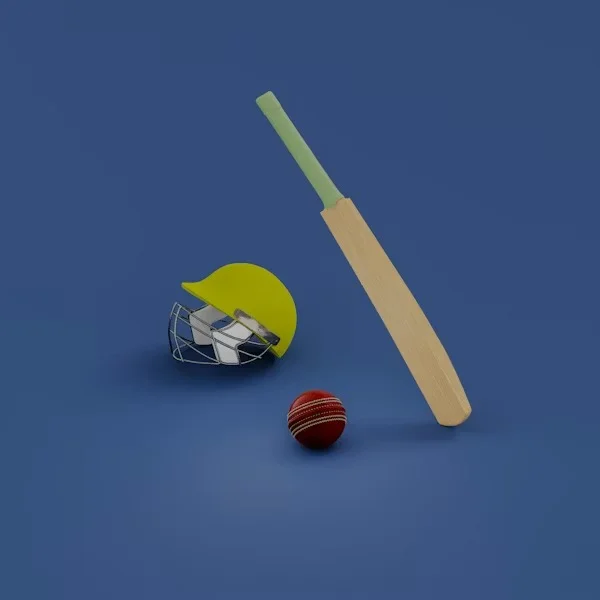 Cricket Accessories