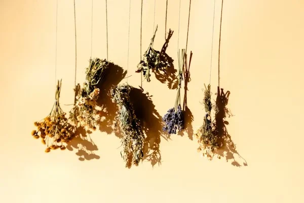 Herbal & Ayurvedic Medicine