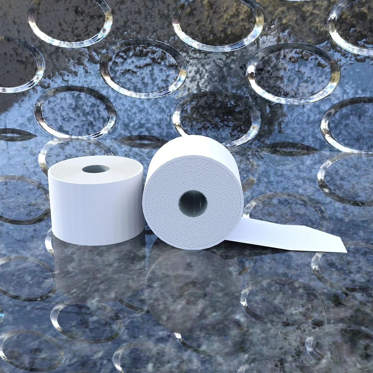 Cash Register Rolls